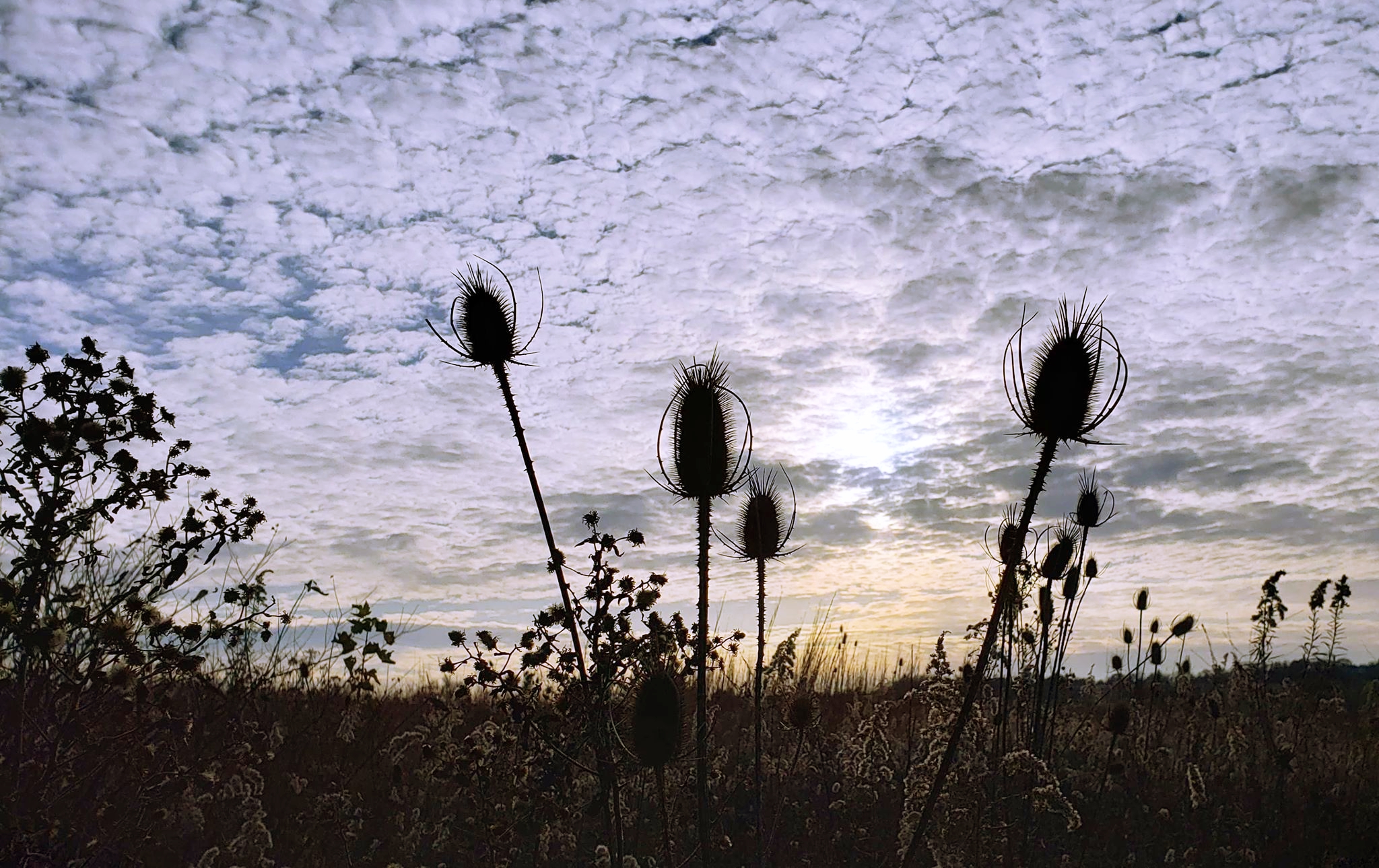 Sowing Seeds and Touching Lives