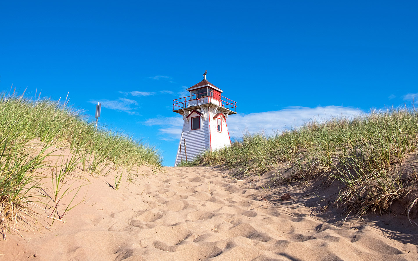Prince Edward Island Nurses